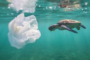 Η Μεσόγειος μετατρέπεται σε χωματερή πλαστικών απορριμάτων
