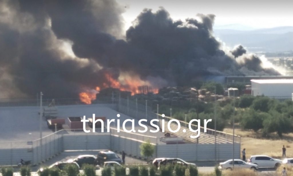 Ασπρόπυργος: Βίντεο από τη φωτιά στον Δυτικό Περιφερειακό -Πυκνός μαύρος καπνός στην περιοχή