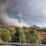 ΕΚΤΑΚΤΟ: Φωτιά τώρα κοντά στα διόδια της Ελευσίνας προς Κόρινθο