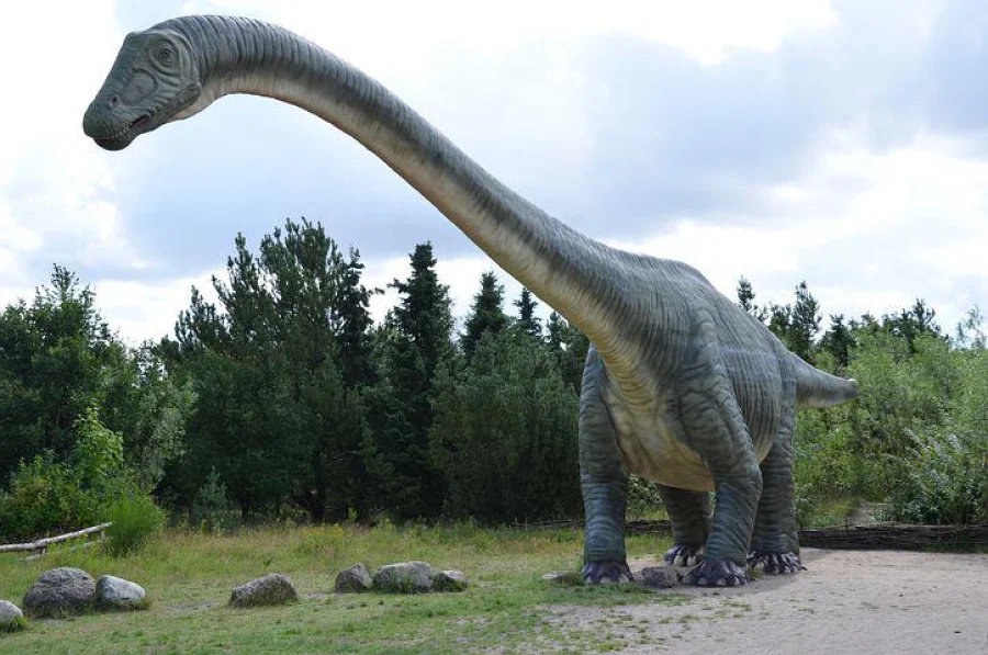 Στο «φως» ο αρχαιότερος δεινόσαυρος της Αφρικής