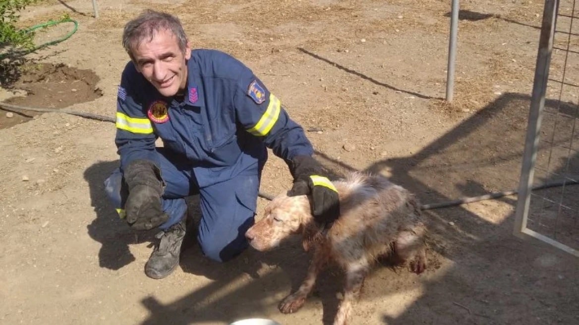 Πυροσβέστες έσωσαν σκυλάκι που έπεσε σε πηγάδι βάθους 6 μέτρων