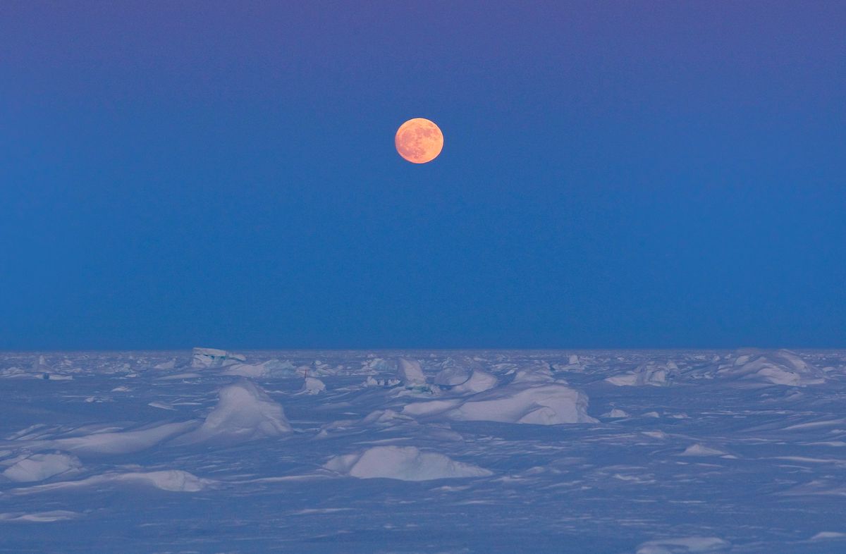 Νέο αρνητικό ρεκόρ στο λιώσιμο των πάγων στην Αρκτική [Βιντεο]