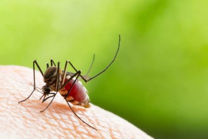 Προληπτικές ενέργειες κατά των κουνουπιών στη Δυτική Αττική