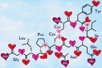 Μελέτη: Η... ορμόνη της αγάπης μπορεί να γιατρέψει την καρδιά