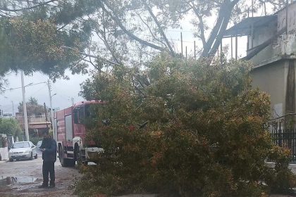 Κακοκαιρία EVA: Έπεσε δέντρο στον Ασπρόπυργο - Φωτιά από κεραυνό στο Χαϊδάρι