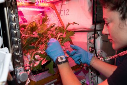 Οι αστροναύτες θα καλλιεργήσουν ντομάτες στο διάστημα