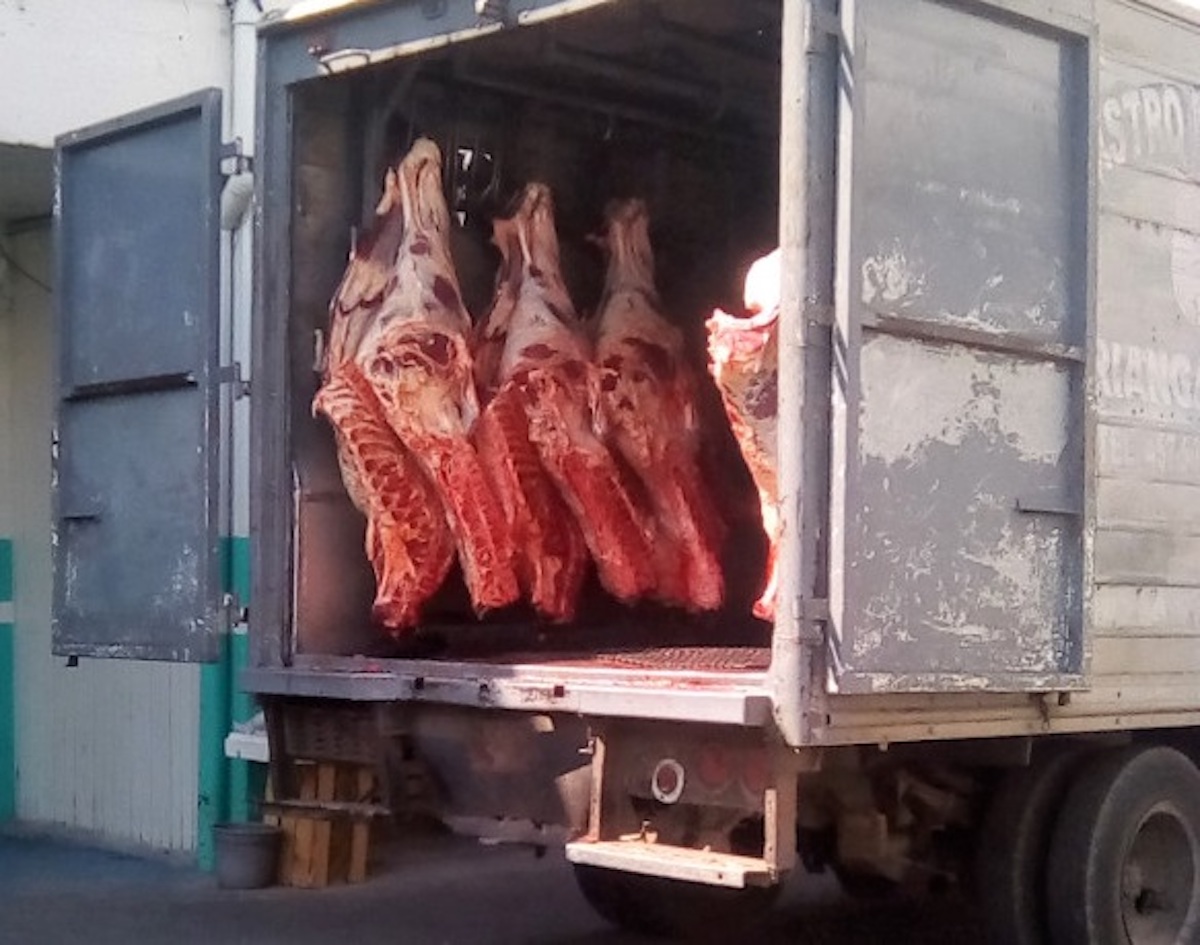 Κατάσχεση 600 κιλών ακατάλληλου κρέατος στον Ασπρόπυργο