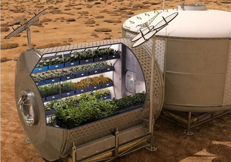 Πετυχημένα πειράματα για καλλιέργεια ρυζιού στον Άρη