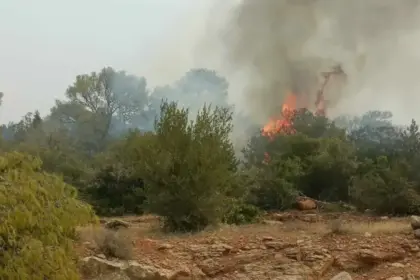 Φωτιά στα Δερβενοχώρια: Προς εκκένωση οι περιοχές Αγία Σωτήρα, Πουρνάρι και Πανόραμα