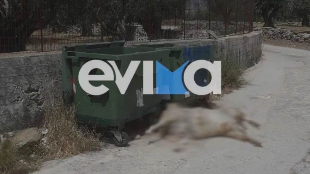 Εικόνα ντροπής από την Κάρυστο - Πέταξαν στα σκουπίδια νεκρό κατσικάκι
