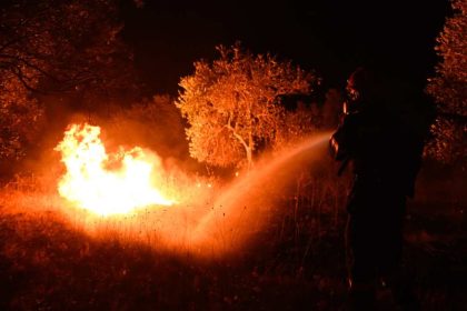 Έβρος: Ανησυχία για την πυρκαγιά από τη Δαδιά προς την Κοτρωνιά