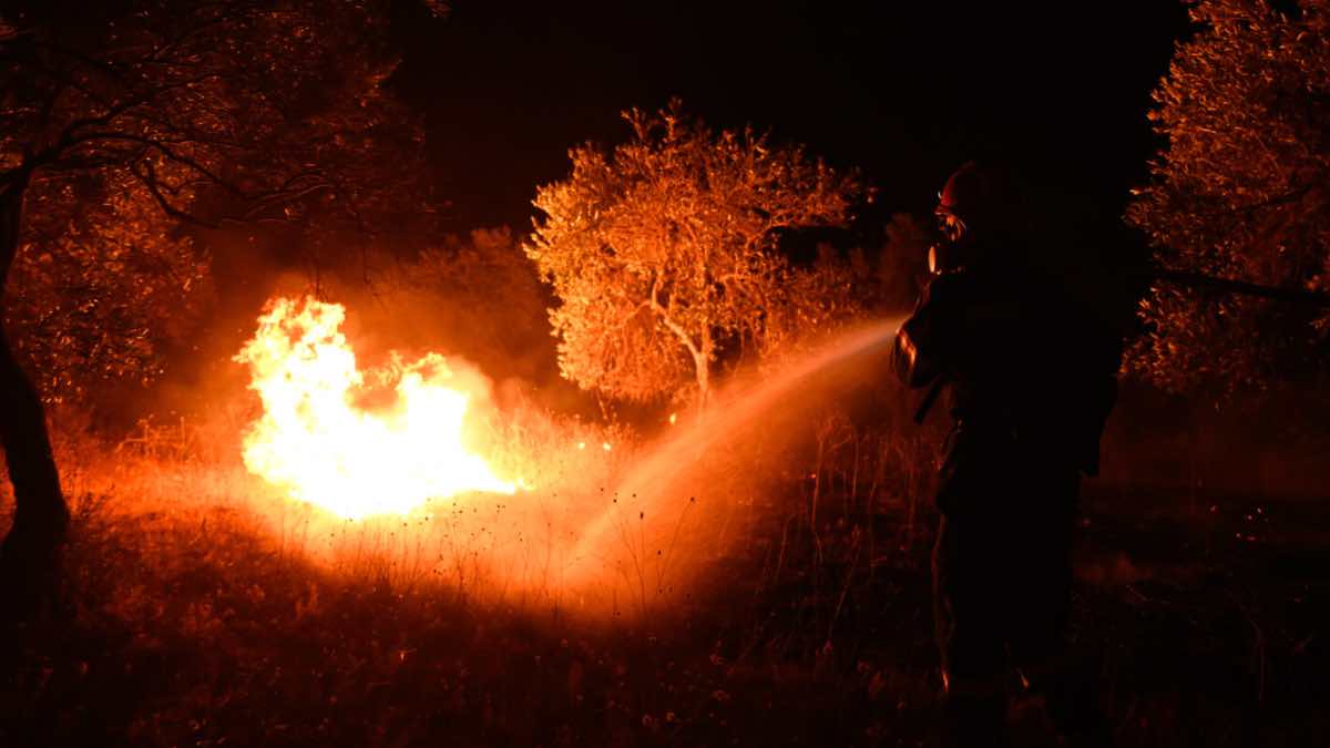 Έβρος: Ανησυχία για την πυρκαγιά από τη Δαδιά προς την Κοτρωνιά