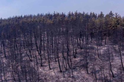 Φωτιές: Πάνω από 50.000 στρέμματα καταστράφηκαν στη Φυλή Αττικής
