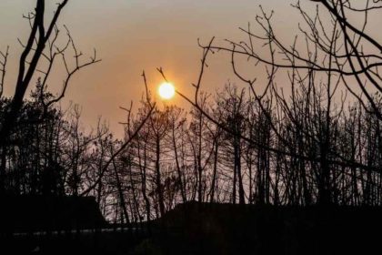 Φωτιά στο δάσος της Δαδιάς: Σώθηκαν από τις φλόγες 25 παράτυποι μετανάστες