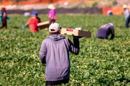 Παράτυποι μετανάστες θα καλύψουν το πρόβλημα της έλλειψης εργατών γης στη χώρα