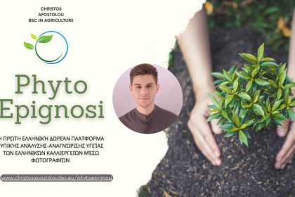 PhytoEpignosi – Η πρώτη Ελληνική δωρεάν πλατφόρμα που οι αγρότες μπορούν να ελέγξουν την τυπική υγεία των καλλιεργειών τους