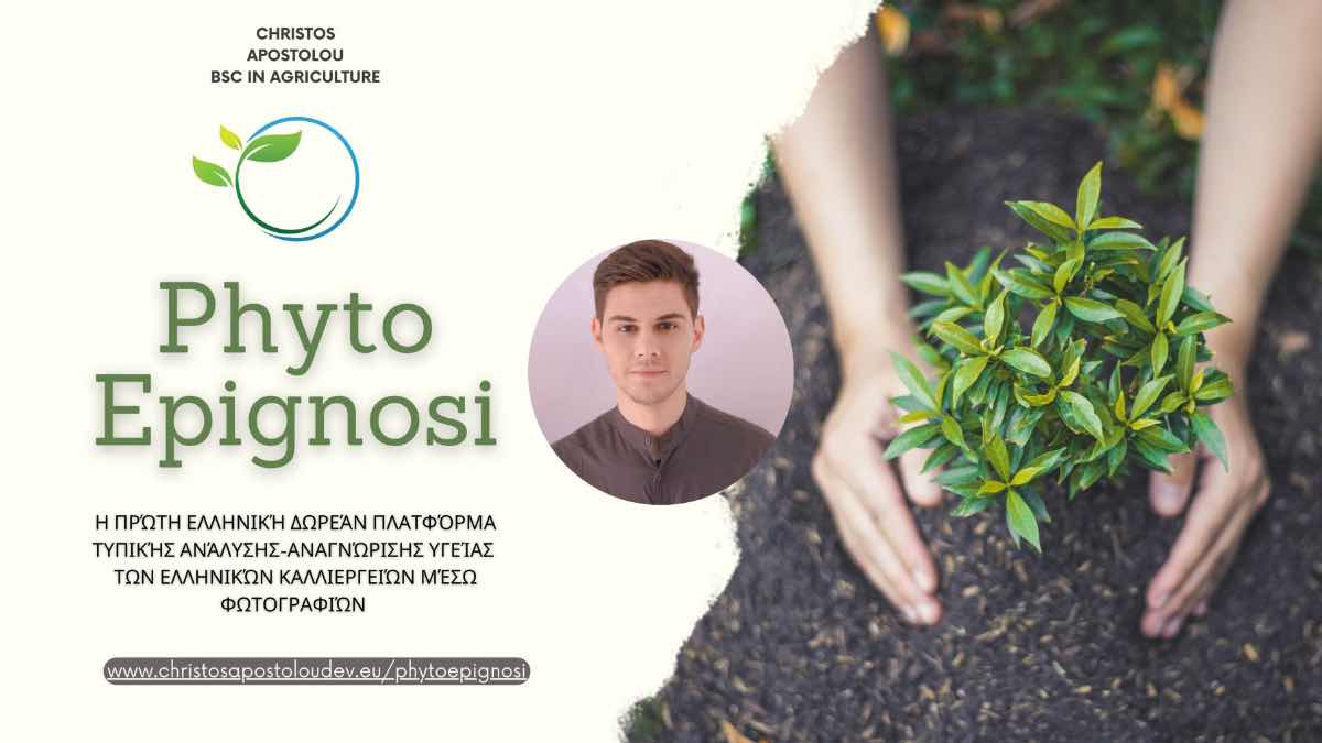 PhytoEpignosi – Η πρώτη Ελληνική δωρεάν πλατφόρμα που οι αγρότες μπορούν να ελέγξουν την τυπική υγεία των καλλιεργειών τους