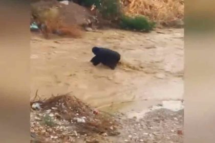 Κακοκαιρία: Άνδρας παρασύρθηκε στο Ρέμα της Εσχατιάς στο Μενίδι [ΒΙΝΤΕΟ]