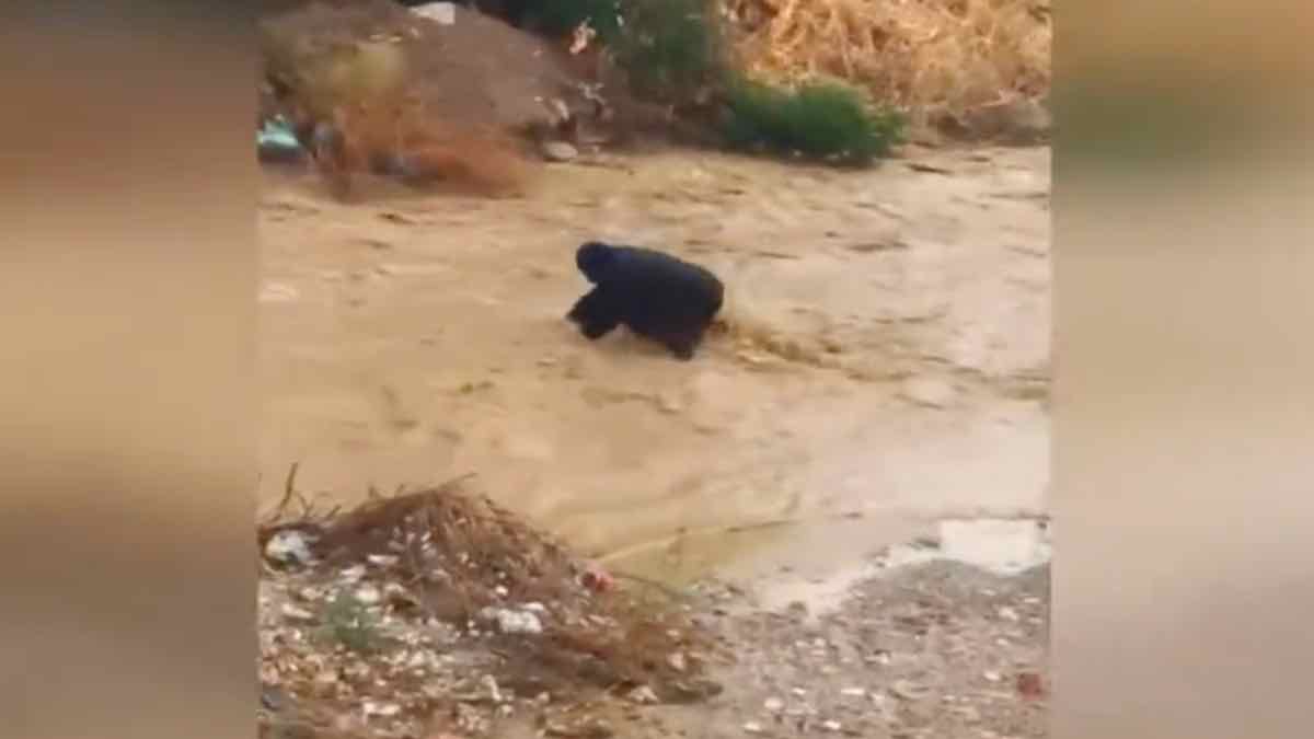 Κακοκαιρία: Άνδρας παρασύρθηκε στο Ρέμα της Εσχατιάς στο Μενίδι [ΒΙΝΤΕΟ]