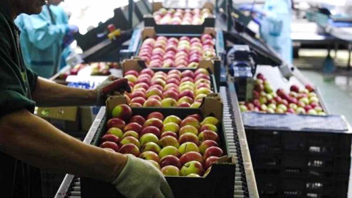 Μεγάλη αύξηση στις εξαγωγές φρούτων και λαχανικών στον πρώτο οκτάμηνο