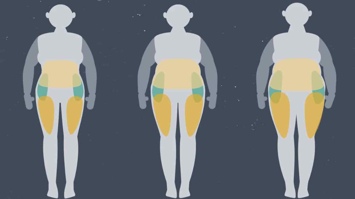 Έρευνα: Το ανθρώπινο σώμα διαθέτει το δικό του σύστημα απώλειας βάρους