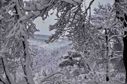 Κακοκαιρία: Διακόπηκε η κυκλοφορία στη Πάρνηθα, προς το καταφύγιο, λόγω χιονόπτωσης
