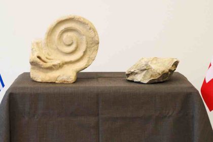 Επαναπατρίστηκαν ελληνικές αρχαιότητες από την Ελβετία