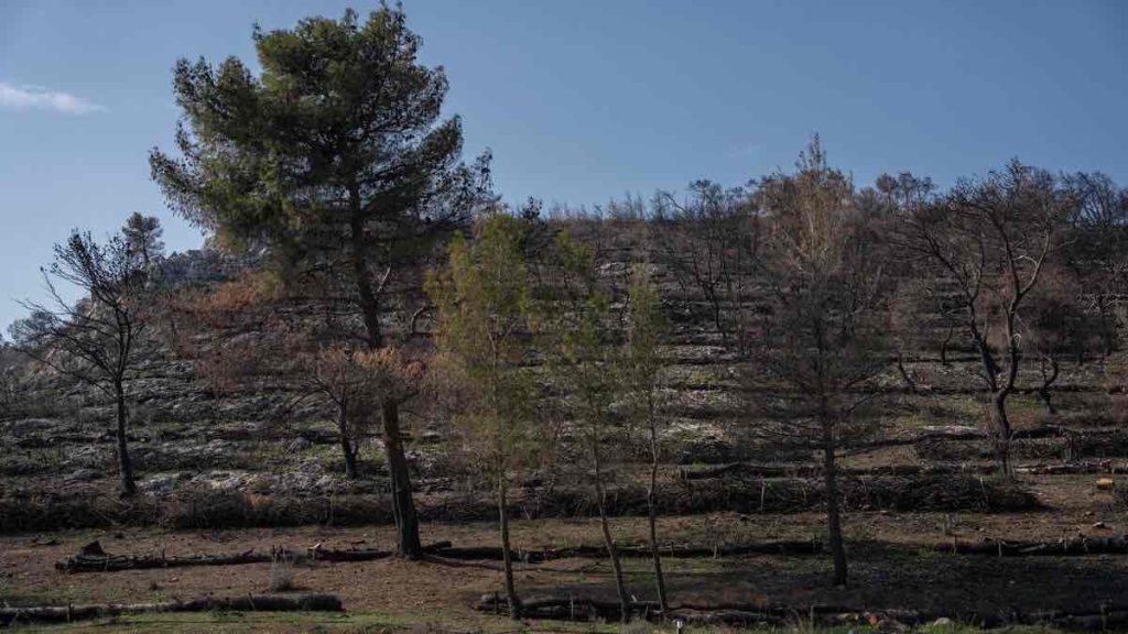 Μάνδρα: Αντιδιαβρωτικά έργα 1 εκατ. ευρώ από την ΤΕΡΝΑ στις πληγείσες περιοχές από τις πυρκαγιές