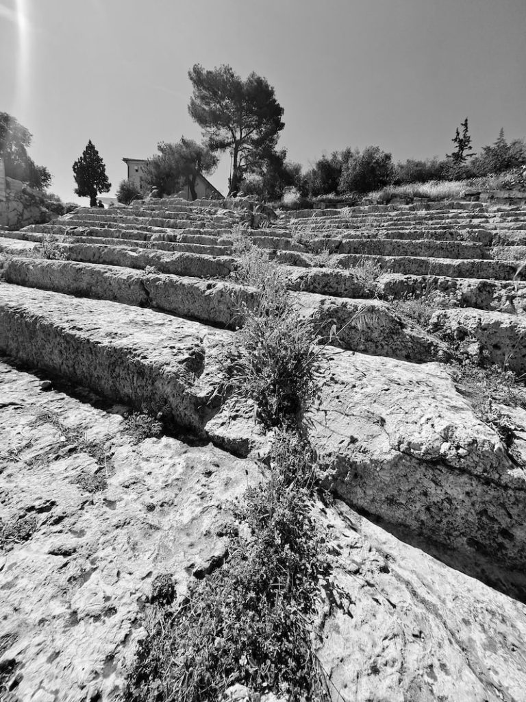 Η εικαστικός Βιολέτα Διαμαντή - Μελετίου μας συστήνει την χλωρίδα του Αρχαιολογικού Χώρου Ελευσίνας