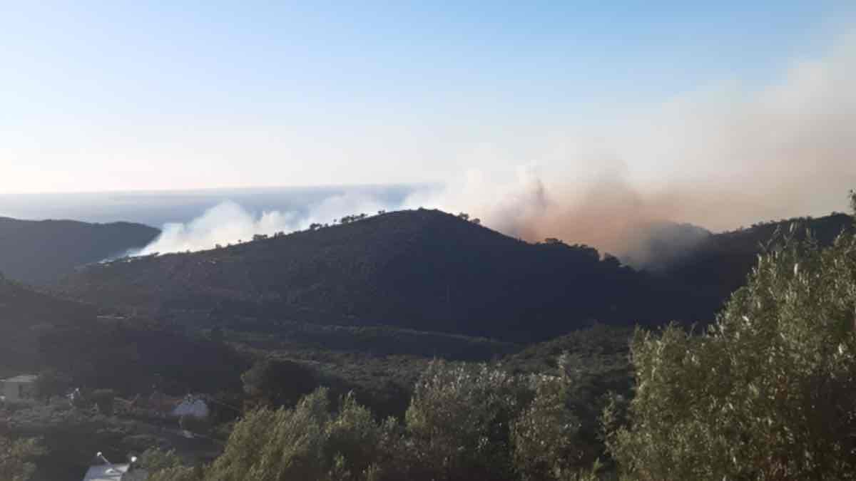 Μεγάλη φωτιά στην Ιεράπετρα - Μηνύματα 112 για εκκενώσεις σε τέσσερις οικισμούς
