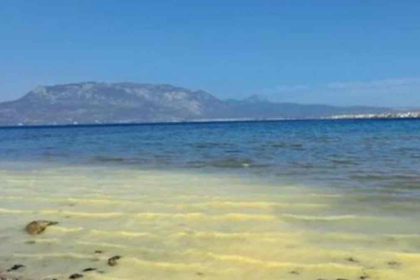 Κιτρίνισε η θάλασσα στο Αρχαίο Λιμάνι Λεχαίου στη Κόρινθο -Ανησύχησαν οι κάτοικοι [εικόνες]