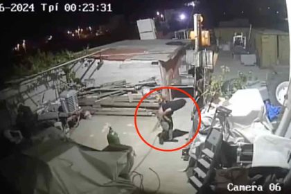 Δείτε βίντεο: Τσακωτός από κάμερα ασφαλείας έγινε «ποντικός» που διέρρηξε βιοτεχνία στις Αχαρνές