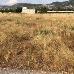 Ασπρόπυργος: Έκκληση για τα οικόπεδα - Θα επεμβαίνει ο Δήμος στα ακαθάριστα με κυρώσεις στους ιδιοκτήτες