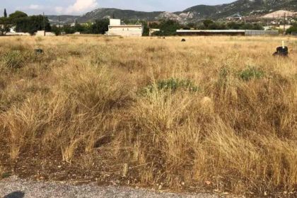 Ασπρόπυργος: Έκκληση για τα οικόπεδα - Θα επεμβαίνει ο Δήμος στα ακαθάριστα με κυρώσεις στους ιδιοκτήτες