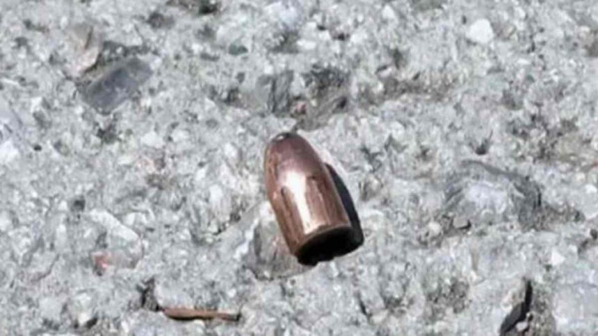 Αδέσποτες σφαίρες στο 10 δημοτικό σχολείο στα Άνω Λιόσια - Βρέθηκε βολίδα στο προαύλιο